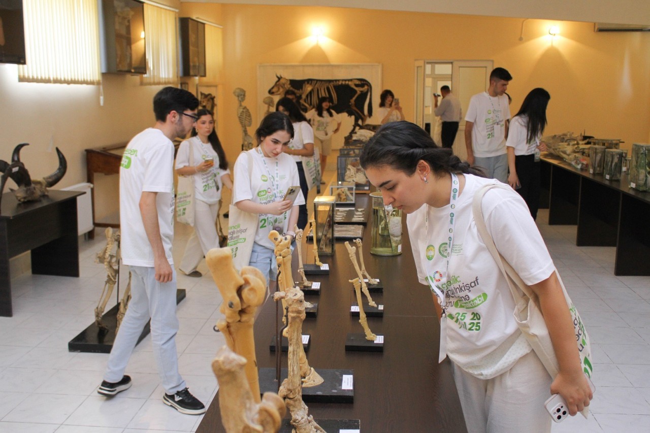 ADAU-da yay məktəbi davam edir - FOTOLAR